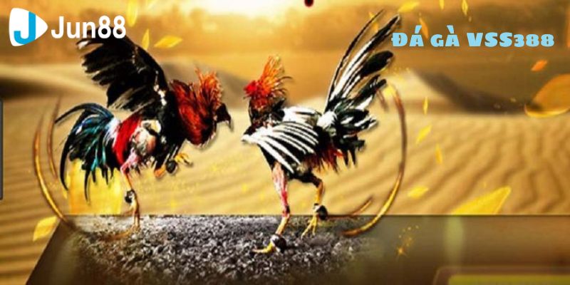 Cách tham gia vô cùng đơn giản của đá gà VSS388