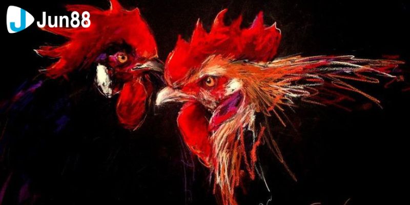 Tìm hiểu về đá gà trực tiếp