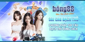 soi cầu bạch thủ