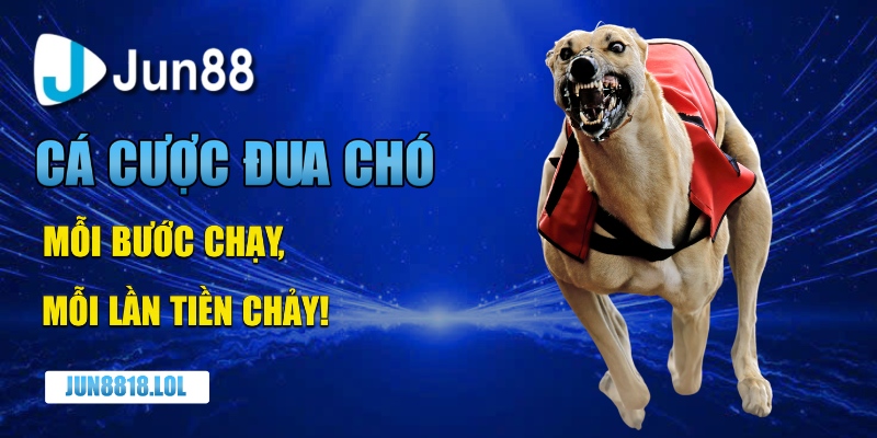 Cá cược đua chó